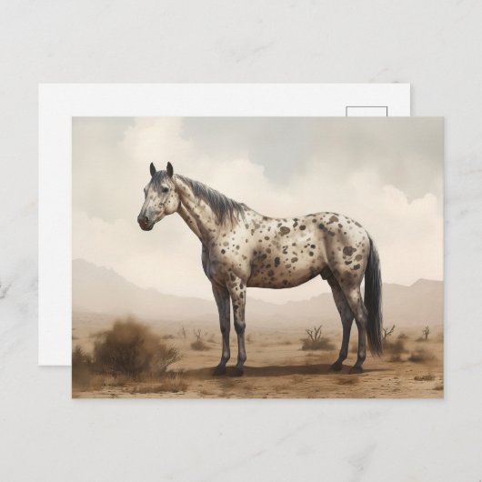 アパロクラシカルーサ馬はがき ポストカード (正面/裏面)