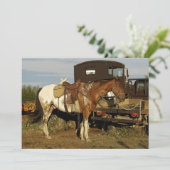 アパローザ馬の招待状カード 招待状 (スタンド正面)