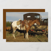 アパローザ馬の招待状カード 招待状 (正面/裏面)