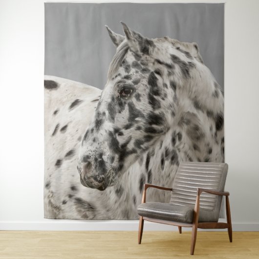 アパロ素晴らしーサを使う タペストリー (インサイチュ)