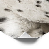 アパロ素晴らしーサを使う フォトプリント            (角)