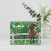 アパロ色彩の鮮やかサポニー ポストカード (スタンド正面)