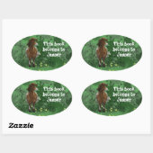 アパロ色彩の鮮やかサポニー 楕円形シール (シート)