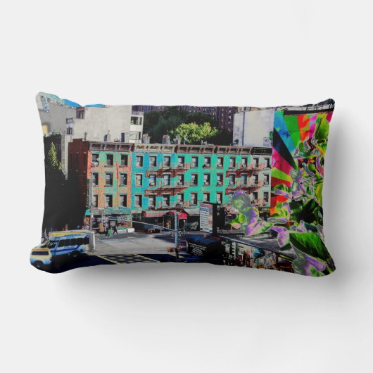 アパ伝統的ート建物マンハッタンニューヨーク ランバークッション (正面)