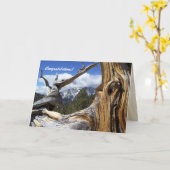 アパ結婚ッチ山賛美おめでとう カード (黄色い花)