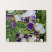 アヒゲドイリス春の花 ジグソーパズル (横)