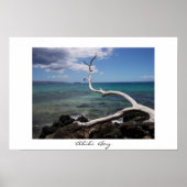 アヒヒ湾 ポスター (正面)