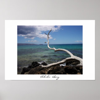 アヒヒ湾 ポスター