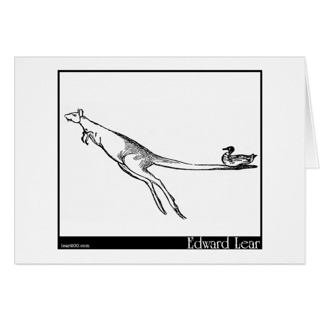アヒルおよびカンガルー (正面横)