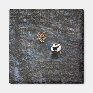 アヒルお尻磁石 マグネット