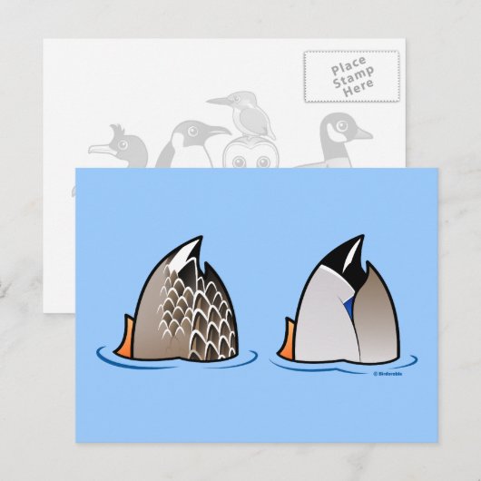 アヒルお尻 ポストカード (正面/裏面)