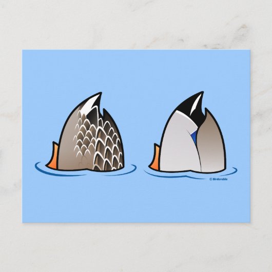 アヒルお尻 ポストカード (正面)