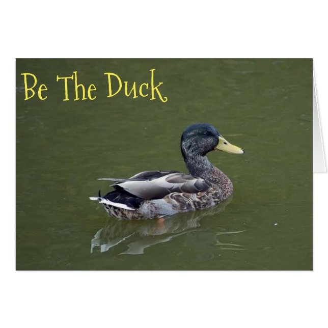 アヒルがあって下さい (正面横)