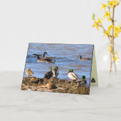 『アヒルがガ考えるチョウを見る』 カード (黄色い花)