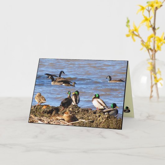 『アヒルがガ考えるチョウを見る』 カード (黄色い花)