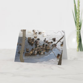 アヒルが付いている凍結する池 シーズンカード