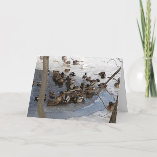 アヒルが付いている凍結する池 シーズンカード (正面)