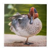 アヒルが脚を上げる タイル (正面)