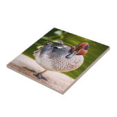 アヒルが脚を上げる タイル (側面)