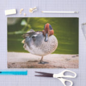 アヒルが脚を上げる 薄葉紙 (クラフト)