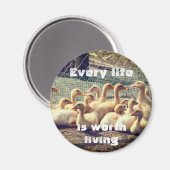 アヒルとの残酷なフリーマグネット、ビーガン マグネット (正面/裏面)