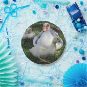 アヒルとアヒル ペーパープレート (パーティー)