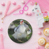 アヒルとアヒル ペーパープレート (パーティー)