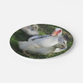 アヒルとアヒル ペーパープレート (アングル)