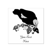 アヒルとアヒル