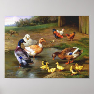 アヒルとニワトリ絵画の鳥 ポスター