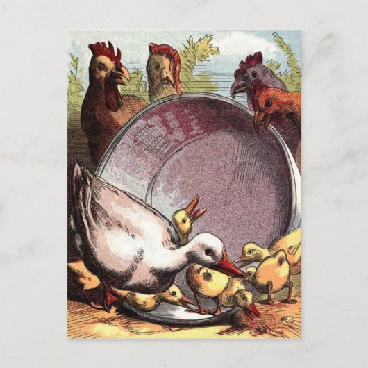 アヒルとヘンリー ポストカード (正面)