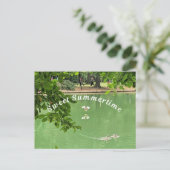 アヒルと美しい夏の湖。 ポストカード (スタンド正面)