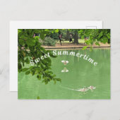 アヒルと美しい夏の湖。 ポストカード (正面/裏面)