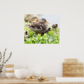 アヒルに囲まれた女性用マラルド ポスター (キッチン)