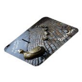 アヒルに道を譲る マグネット (左側)