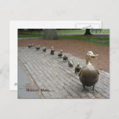 アヒルに道を開け! ポストカード (正面/裏面)