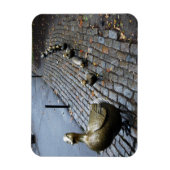 アヒルに道を開け!マグネット マグネット (縦)