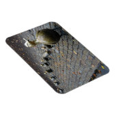 アヒルに道を開け！マグネット マグネット (右側)