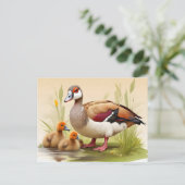 アヒルのあるエジプトのガチョウ ポストカード (スタンド正面)