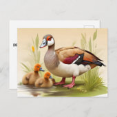 アヒルのあるエジプトのガチョウ ポストカード (正面/裏面)