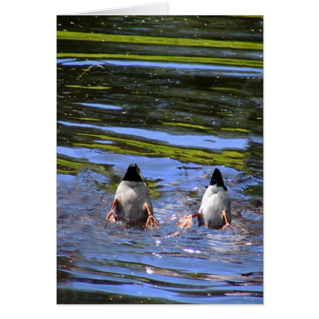 アヒルのお尻 (正面)