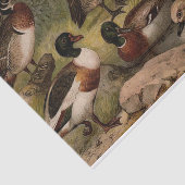 アヒルのカラフルなヴィンテージの絵を描くこと 薄葉紙 (詳細)