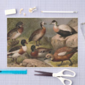 アヒルのカラフルなヴィンテージの絵を描くこと 薄葉紙 (クラフト)