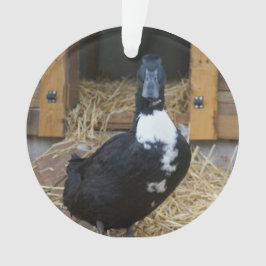 アヒルのクリスマスのオーナメント オーナメント