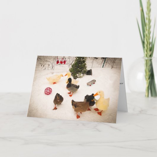 アヒルのクリスマス・パーティのクリスマスカード シーズンカード (正面)