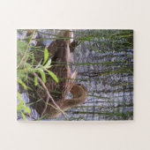 アヒルのクローズアップ写真 ジグソーパズル (横)