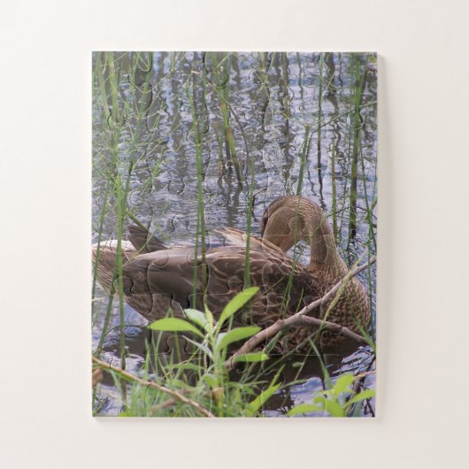 アヒルのクローズアップ写真 ジグソーパズル (縦)