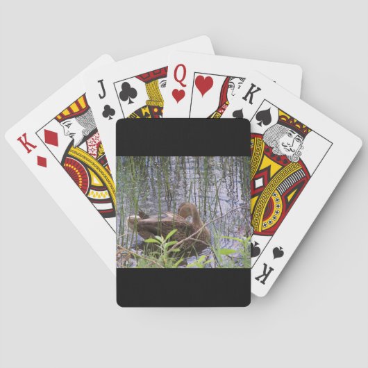 アヒルのクローズアップ写真 トランプ (裏面)