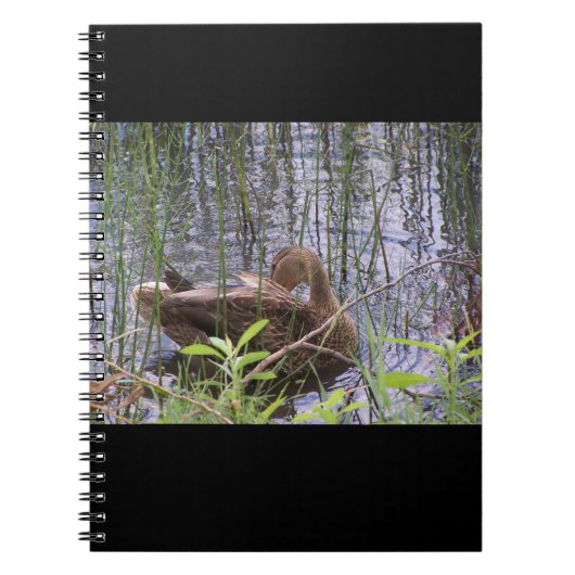 アヒルのクローズアップ写真 ノートブック (正面)