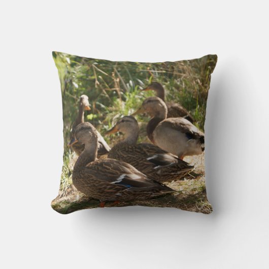アヒルのグループ、装飾用クッション クッション (正面)
